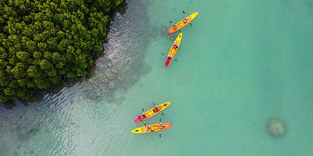 Kayaking trip dambre island half (11)